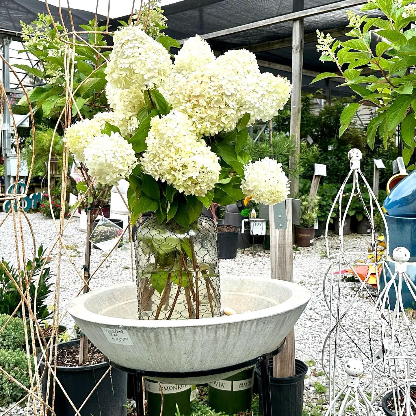 Gallery Green Valley Nursery & Landscaping