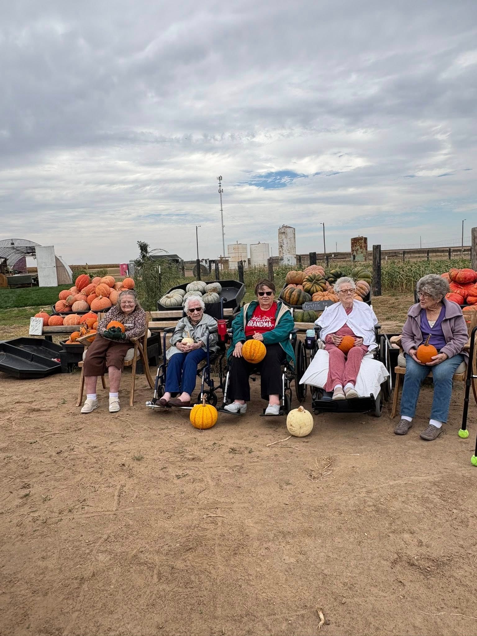 Five people in wheelchairs hold pumpkins at an outdoor pumpkin patch.