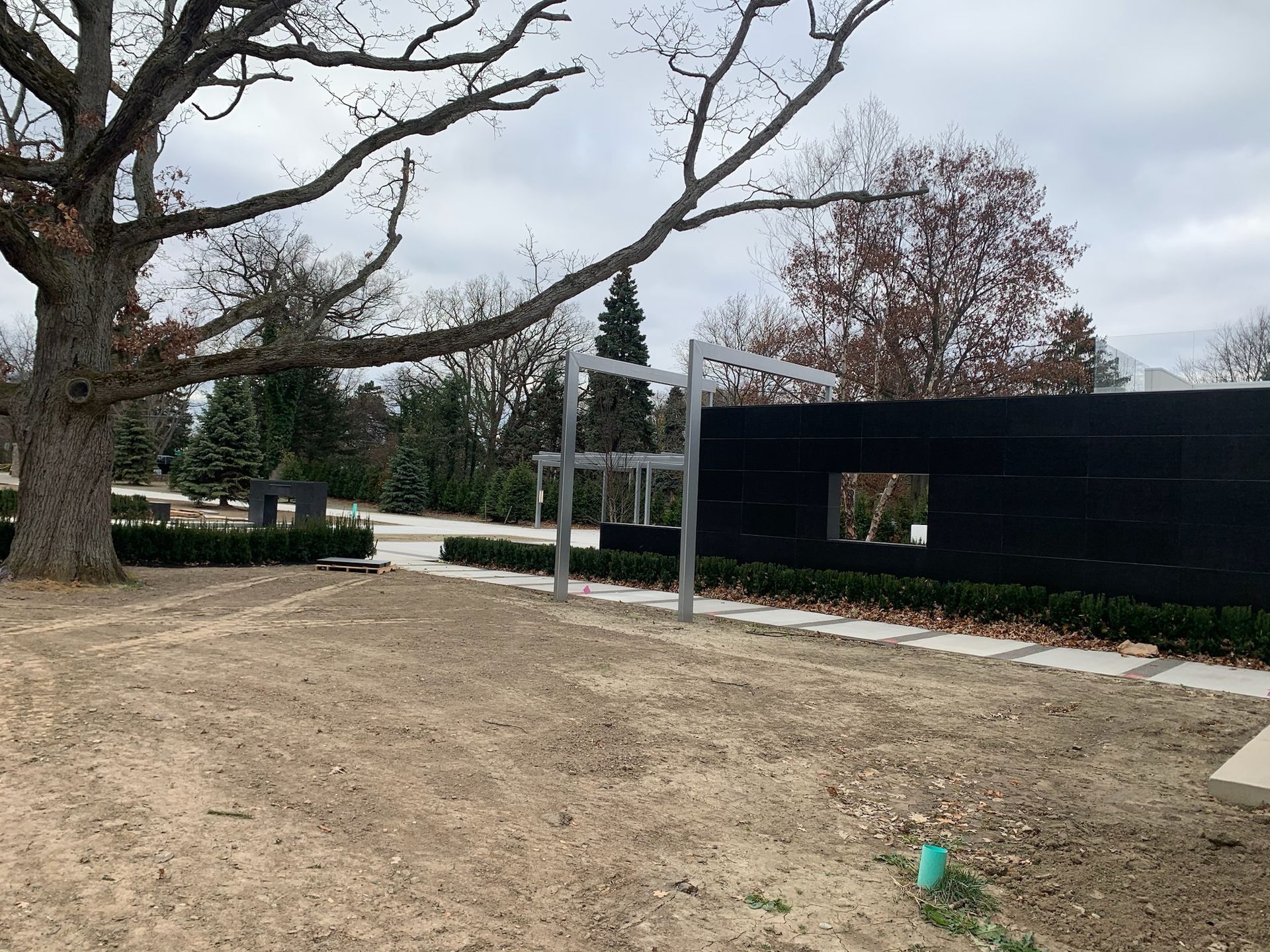 A large tree is in the middle of a dirt field in front of a building.