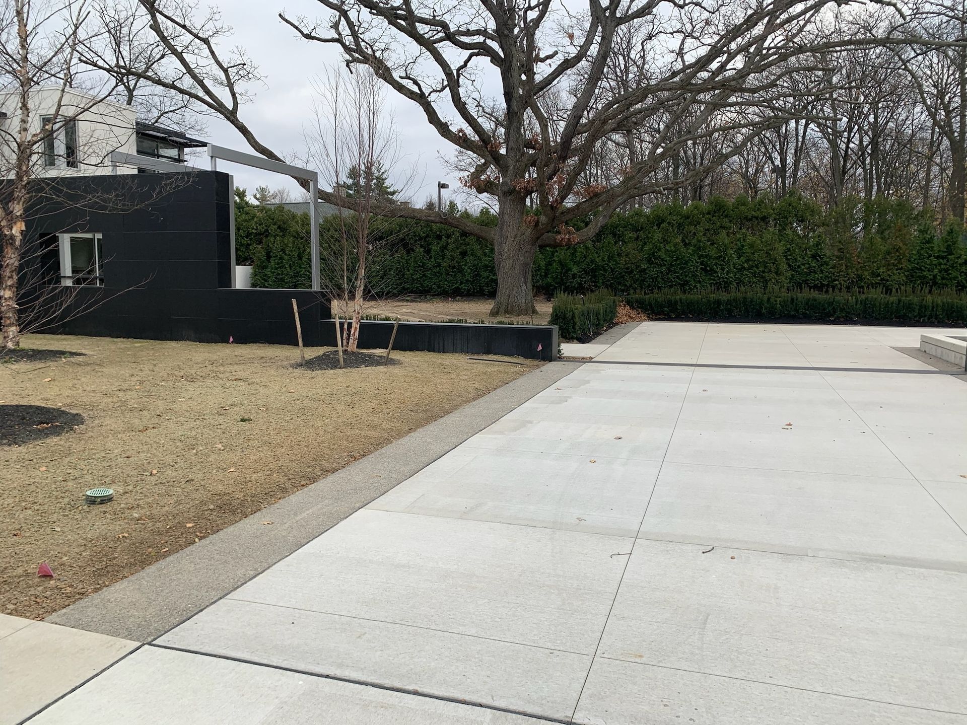 A concrete walkway leading to a building with a tree in the background