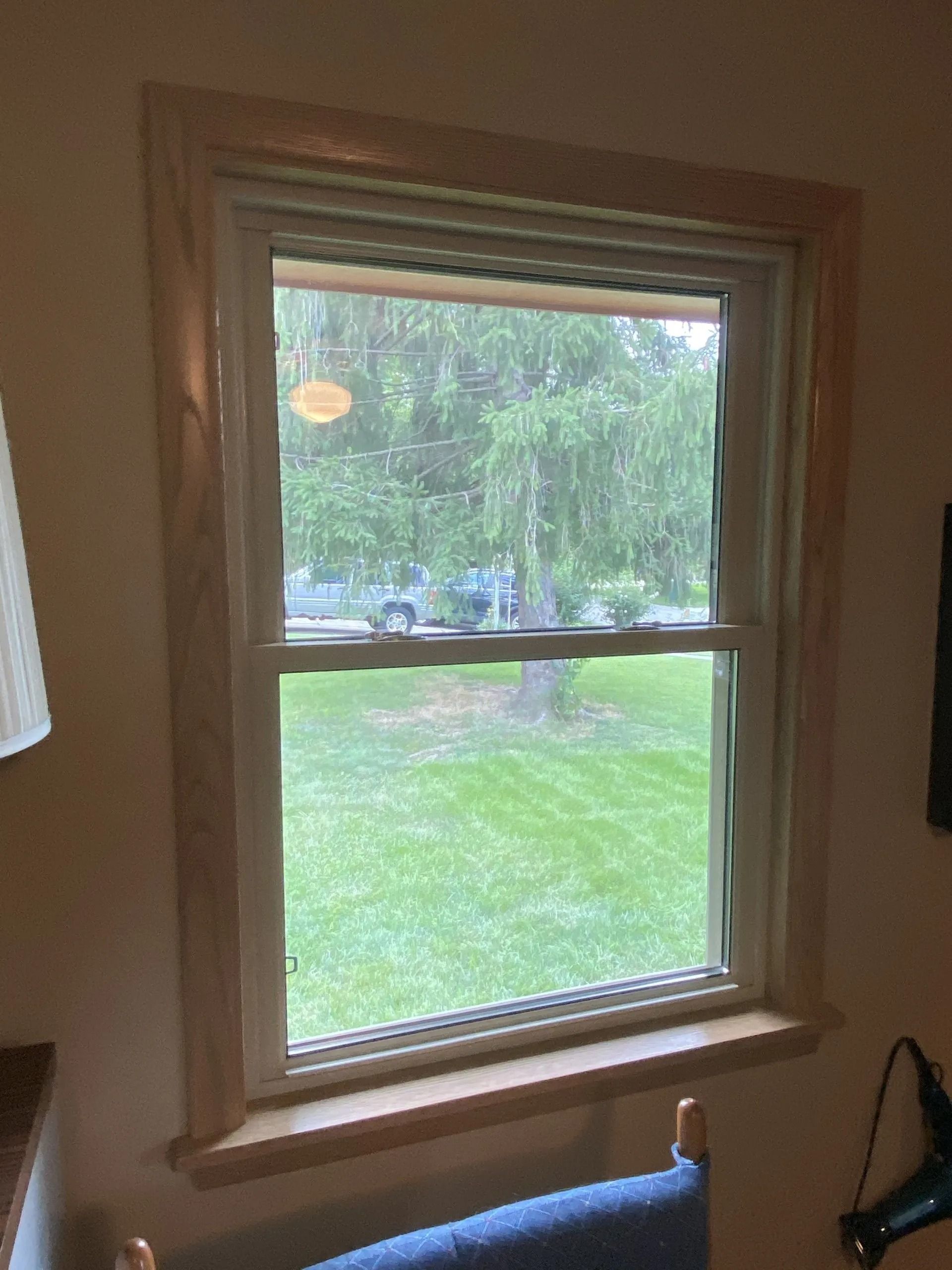 Window with light-colored trim; a green lawn, tree, and overcast sky visible through the glass.