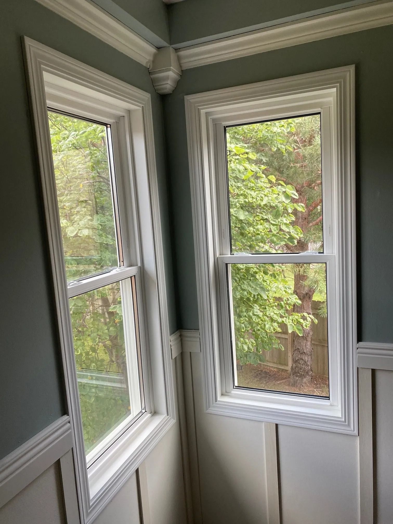 Two white-framed windows on a corner wall, with a view of green trees outside. Pale blue wall and white trim.