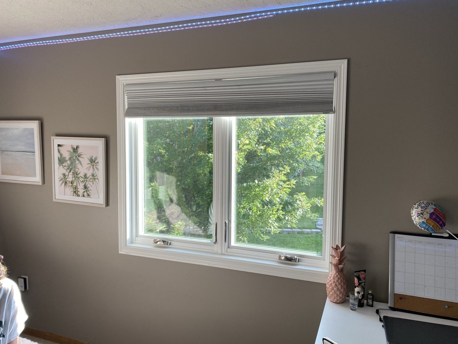 Window with gray blinds, framed by a white border, overlooking green trees. Two framed pictures on a tan wall.