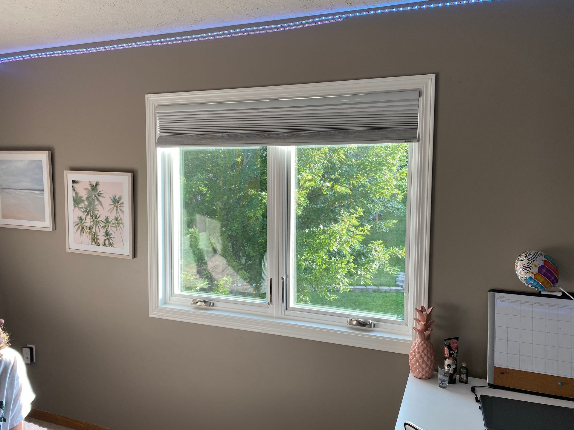 Window with gray blinds, framed by white, shows a view of green trees. The wall is painted brown.