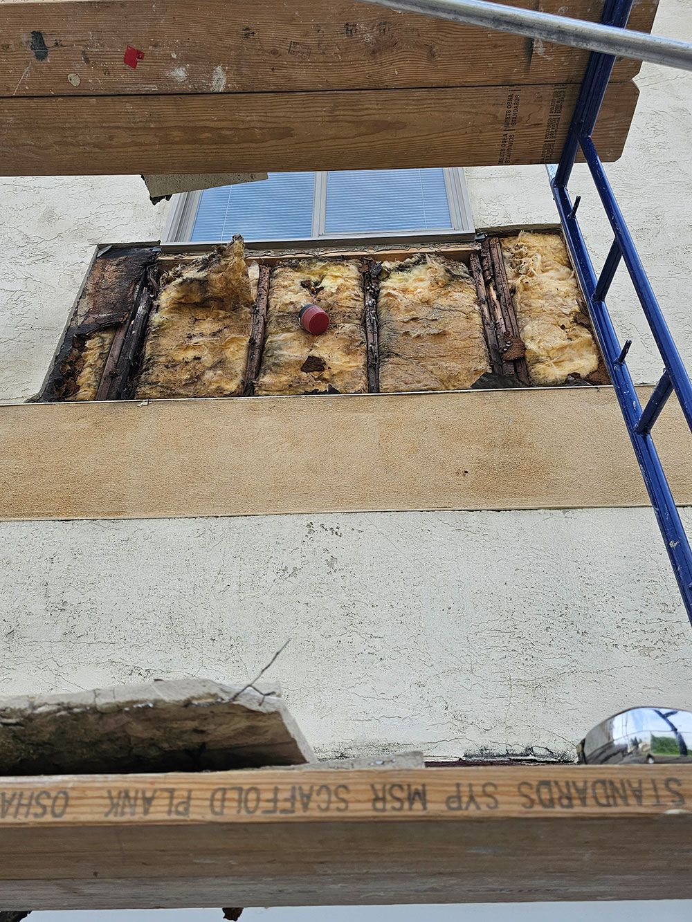 Old insulation on wall