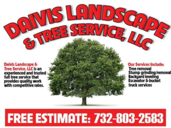 Tree Removal Lawrence Ks