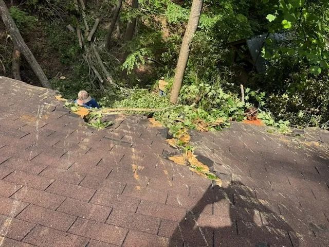 Roof damage from fallen tree, person removing debris. Brown shingles, green foliage, sunny outdoors.