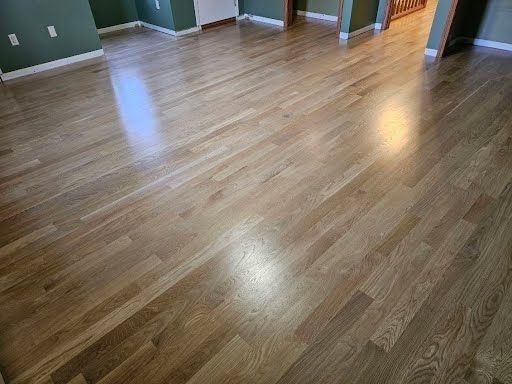 Empty room with glossy light wood flooring and green walls, lit by sunlight reflections.