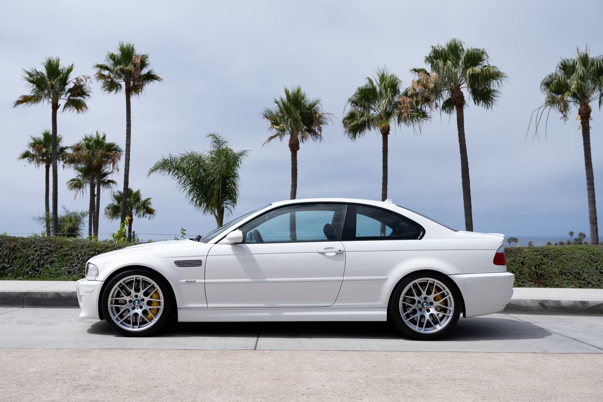 White sports coupe parked by palm trees near the ocean on a sunny day