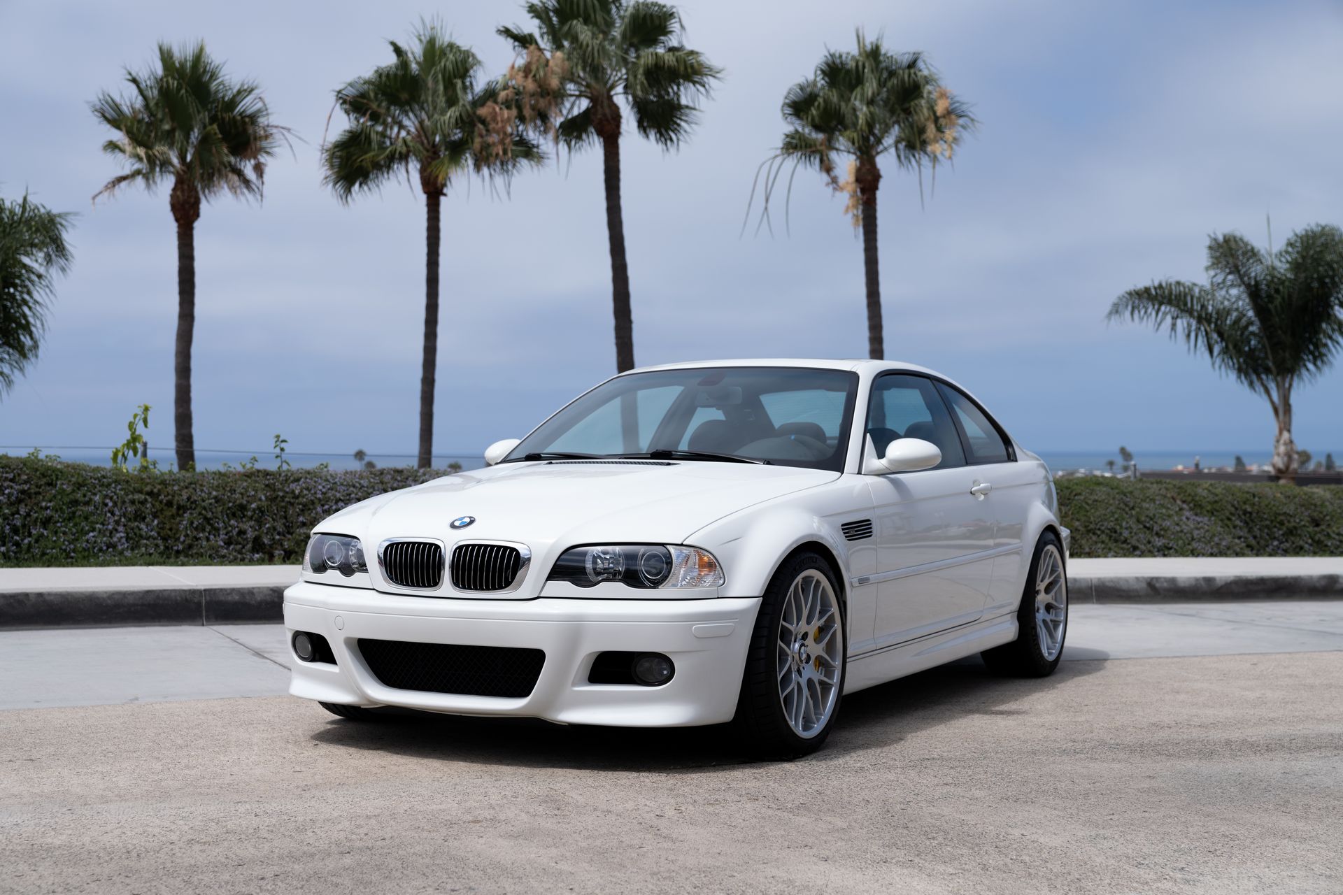 White BMW coupe parked by palm trees near the ocean