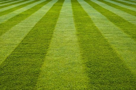 A close up of a lush green striped lawn.