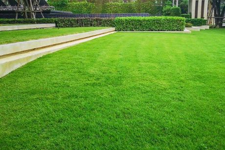 A large lawn with a path going through it and a building in the background.