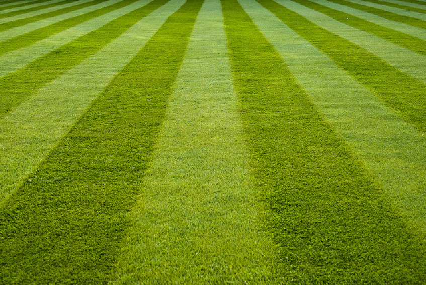 A close up of a lush green striped lawn.