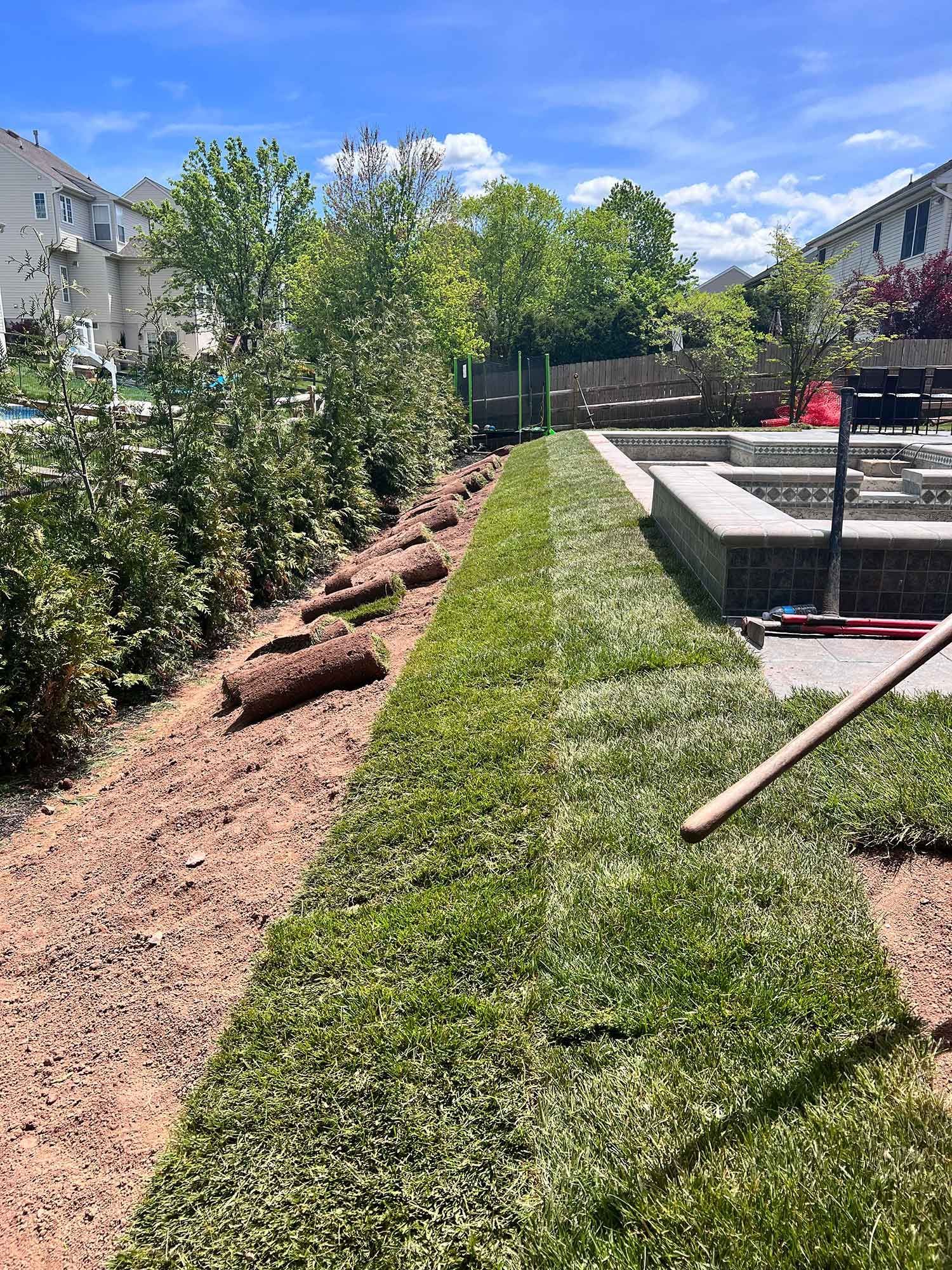 A person is raking a lush green lawn next to a pool.