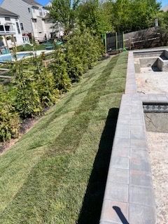 A lush green lawn next to a pool in a backyard.