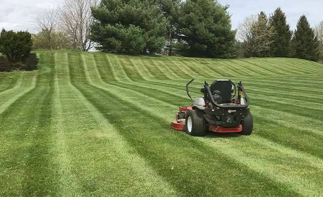 A lawn mower is cutting a lush green lawn.