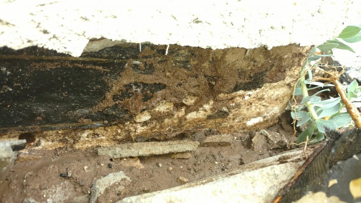 A close up of a hole in a wall with a plant growing out of it.