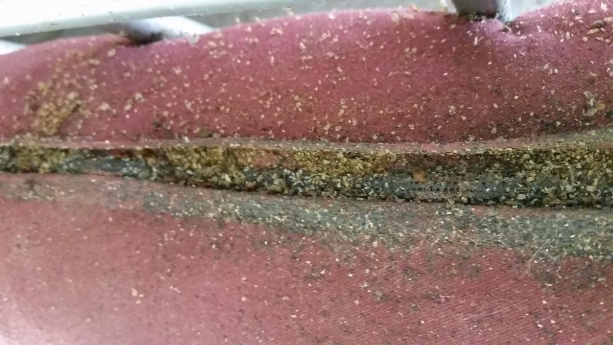 A close up of a sponge with a lot of dust on it.