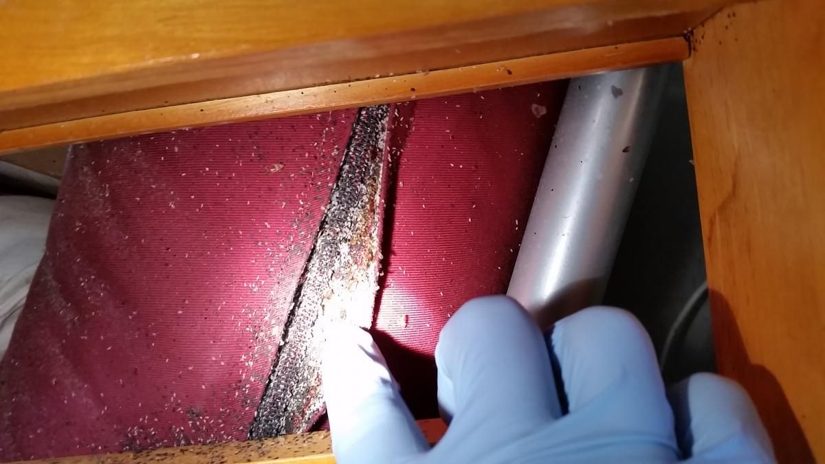 A person wearing blue gloves is looking under a bed.