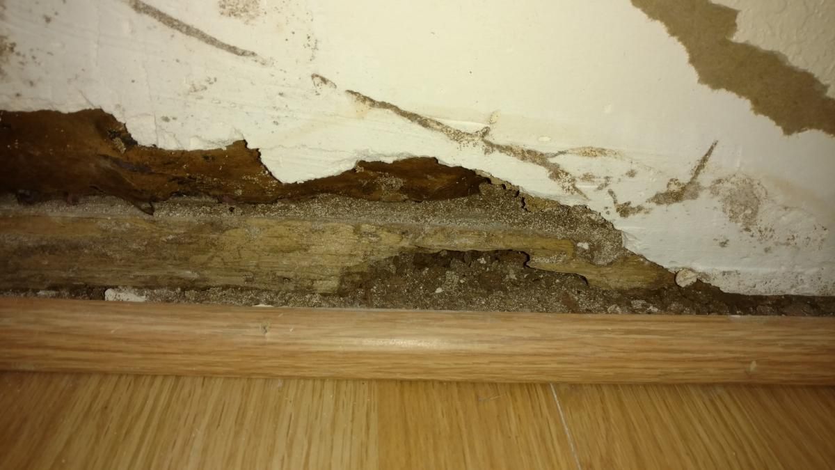 A close up of a wall with a hole in it and a wooden floor.