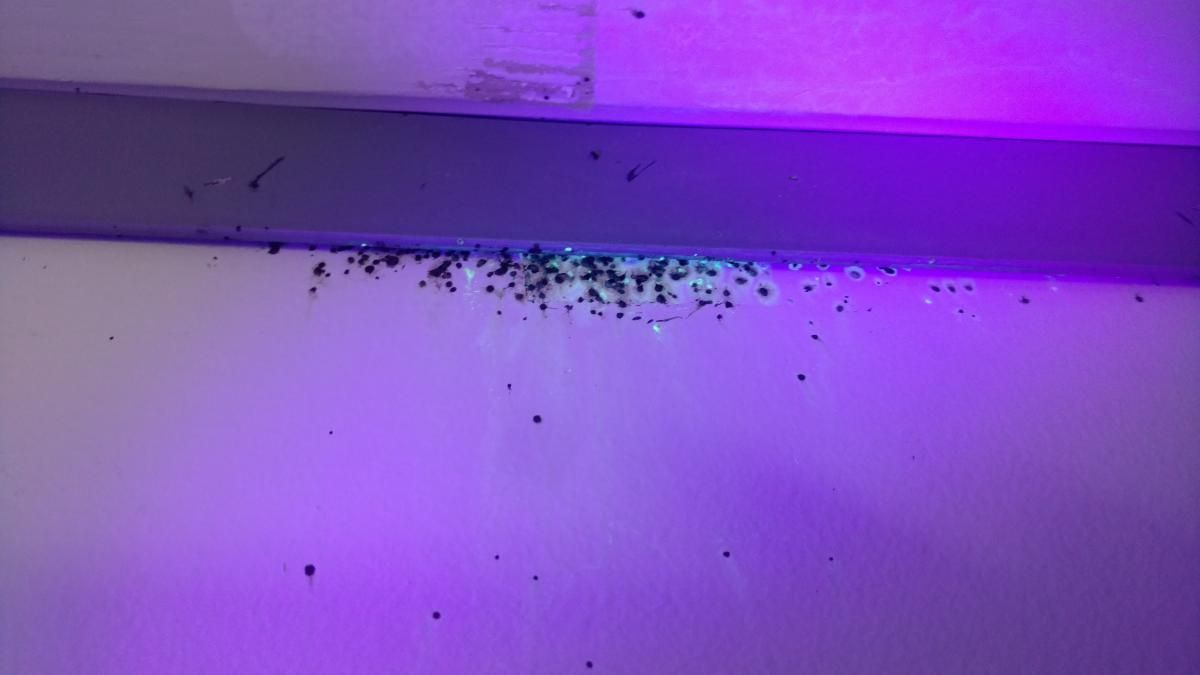 A purple light is shining on a white wall.