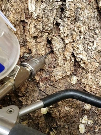 A close up of a tool sitting on top of a tree trunk.