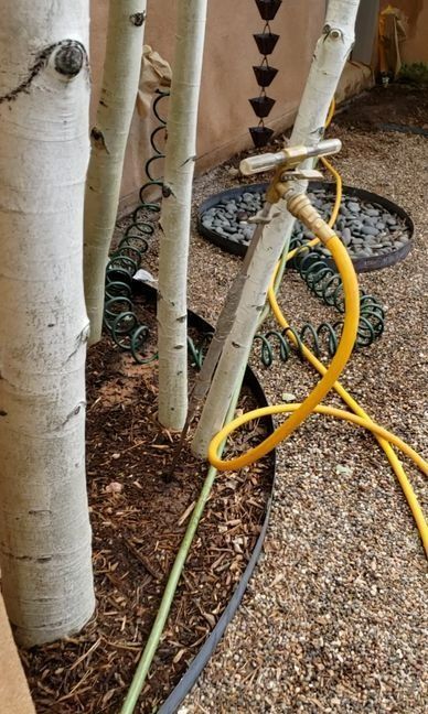 A yellow hose is connected to a faucet next to a tree.