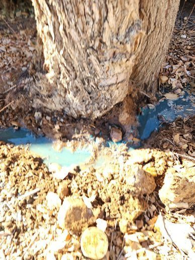 A tree trunk is sitting on top of a pile of dirt and rocks.