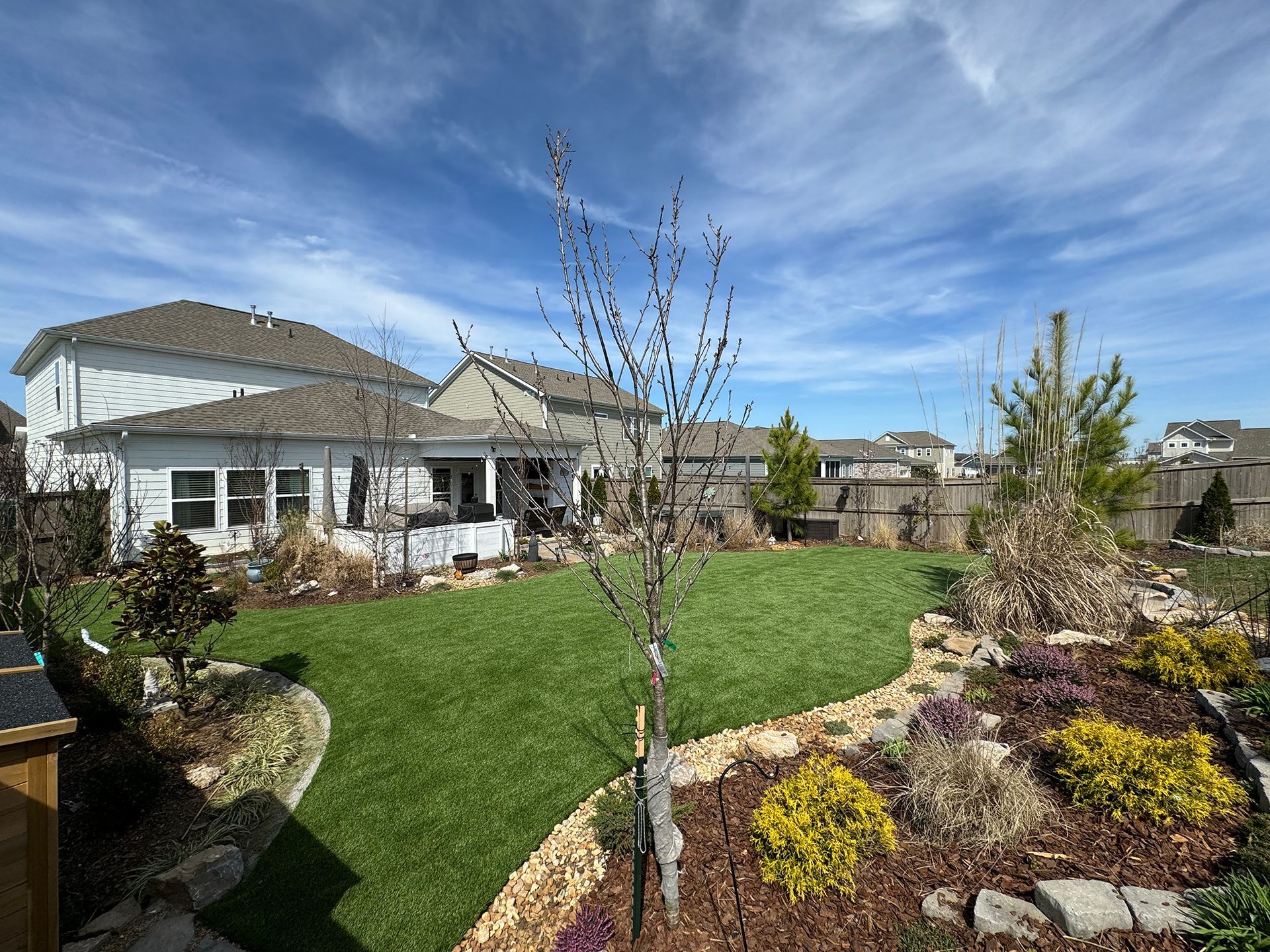 Backyard with beautiful landscaping