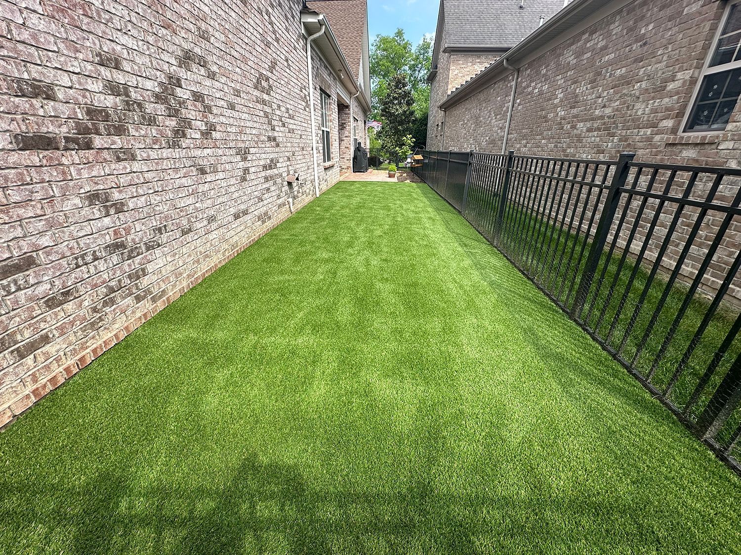 A lush green lawn next to a brick building and a metal fence