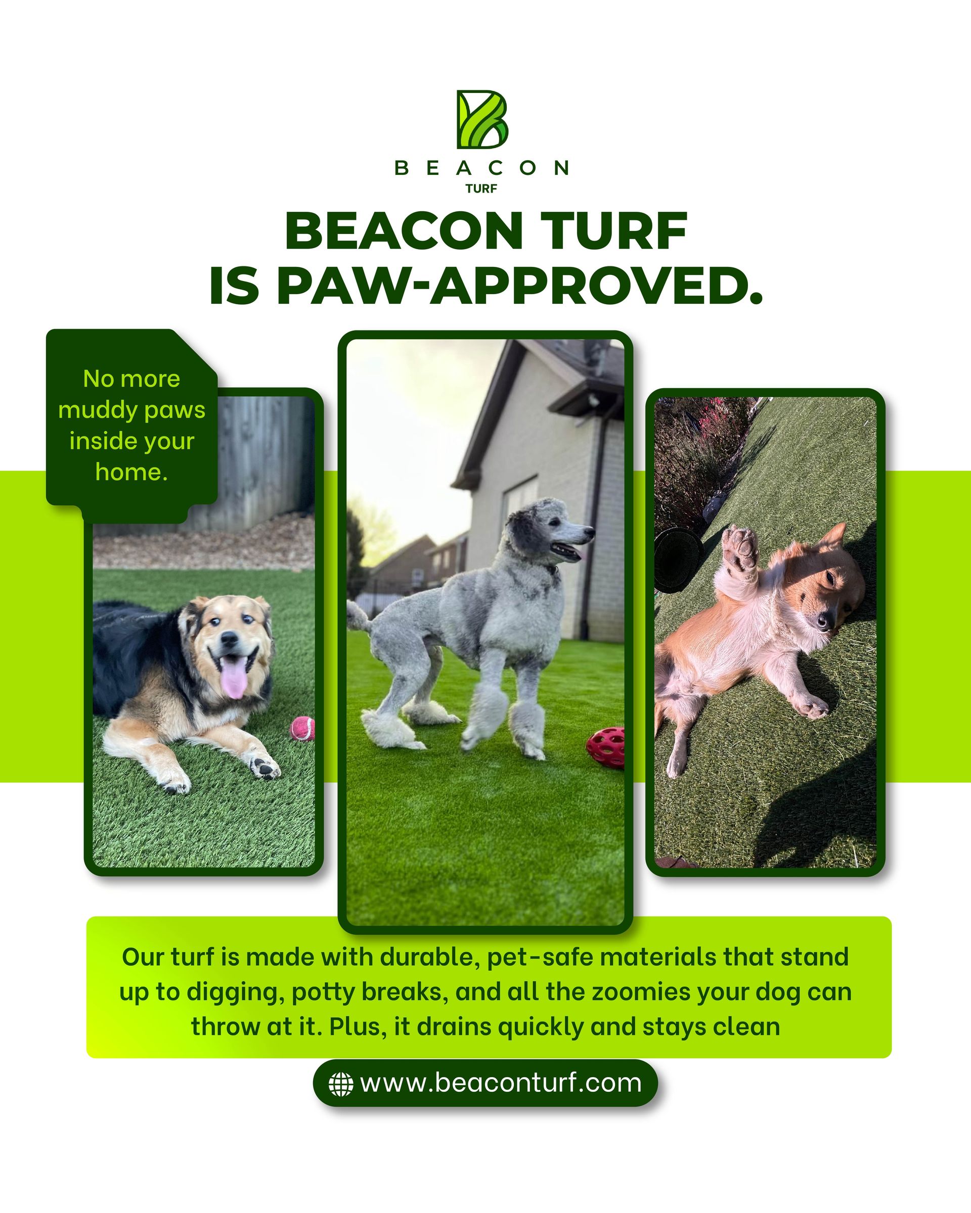 Beacon Turf ad: Three dogs on green turf, with text 