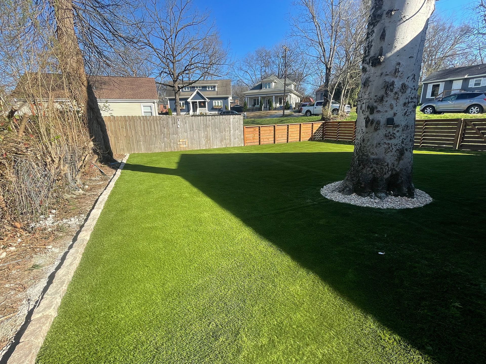 Green lawn with tree in the sun, bordered by a wooden fence and homes in the background.