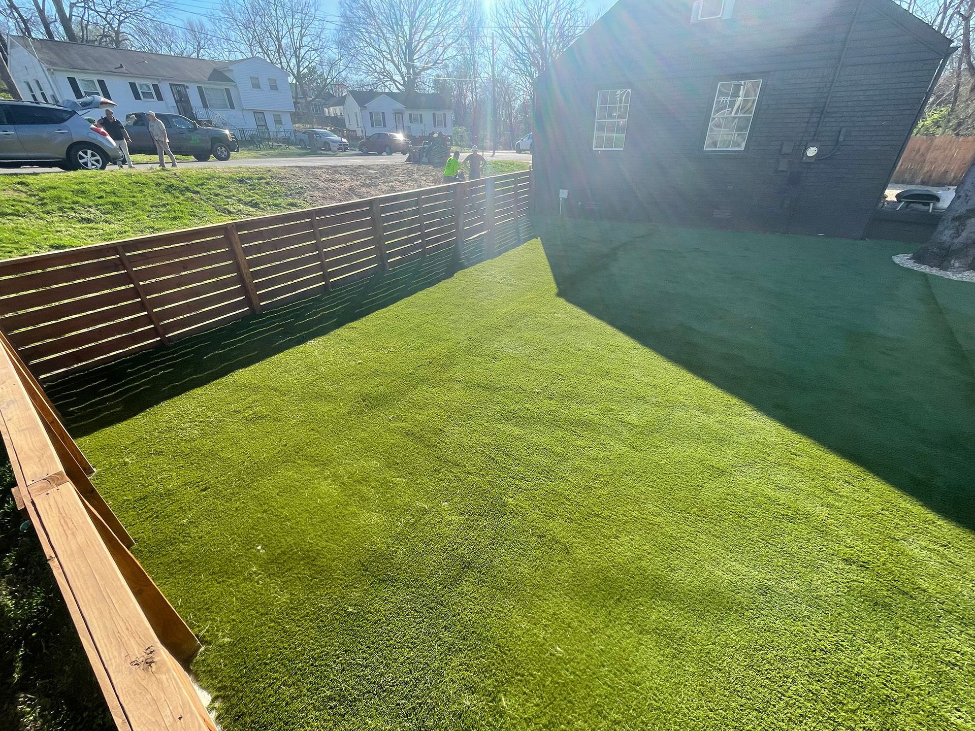 Lush green lawn, wooden fence, and a dark-colored house in the background, under a bright sunny sky.