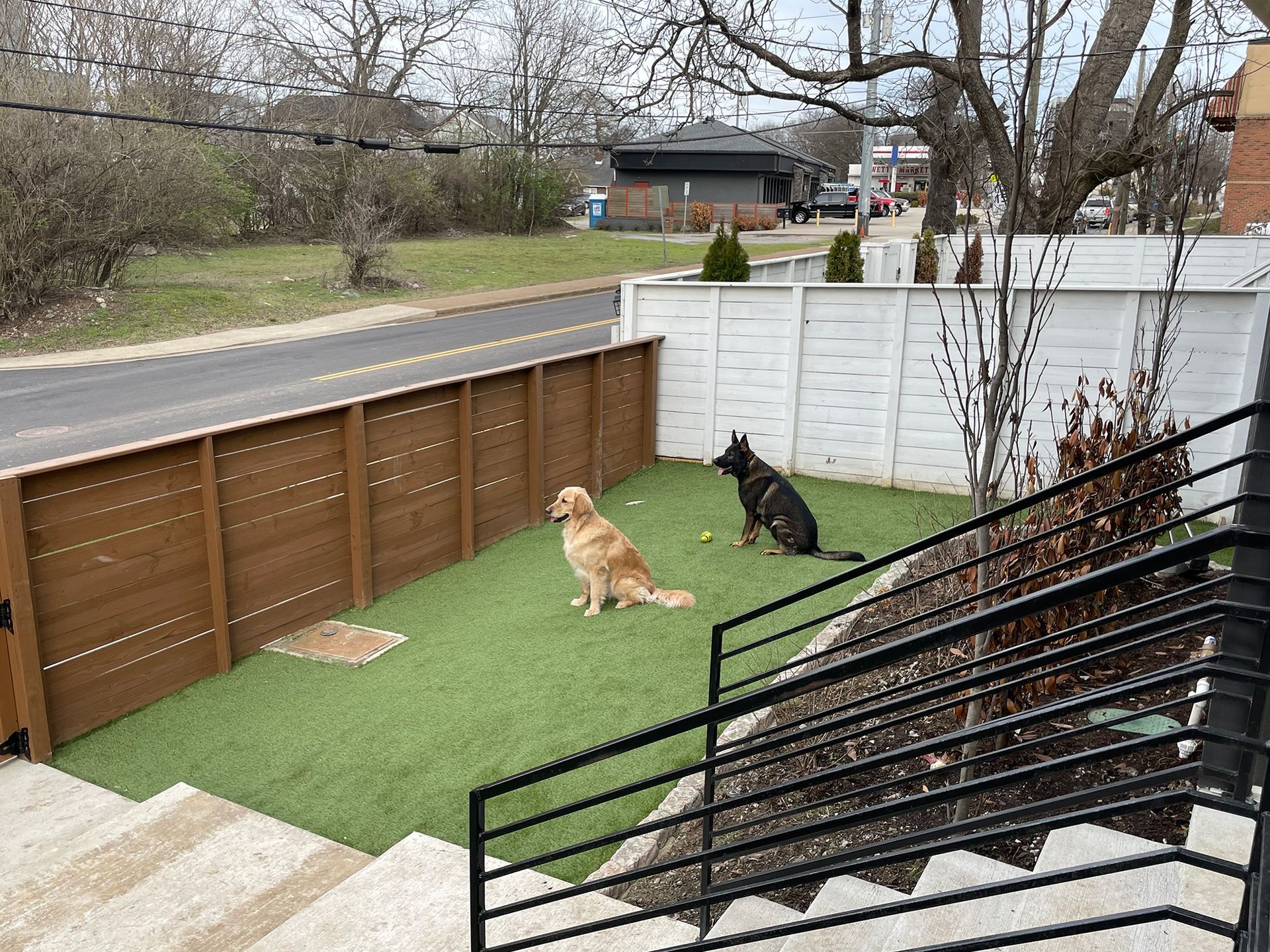 Pet turf