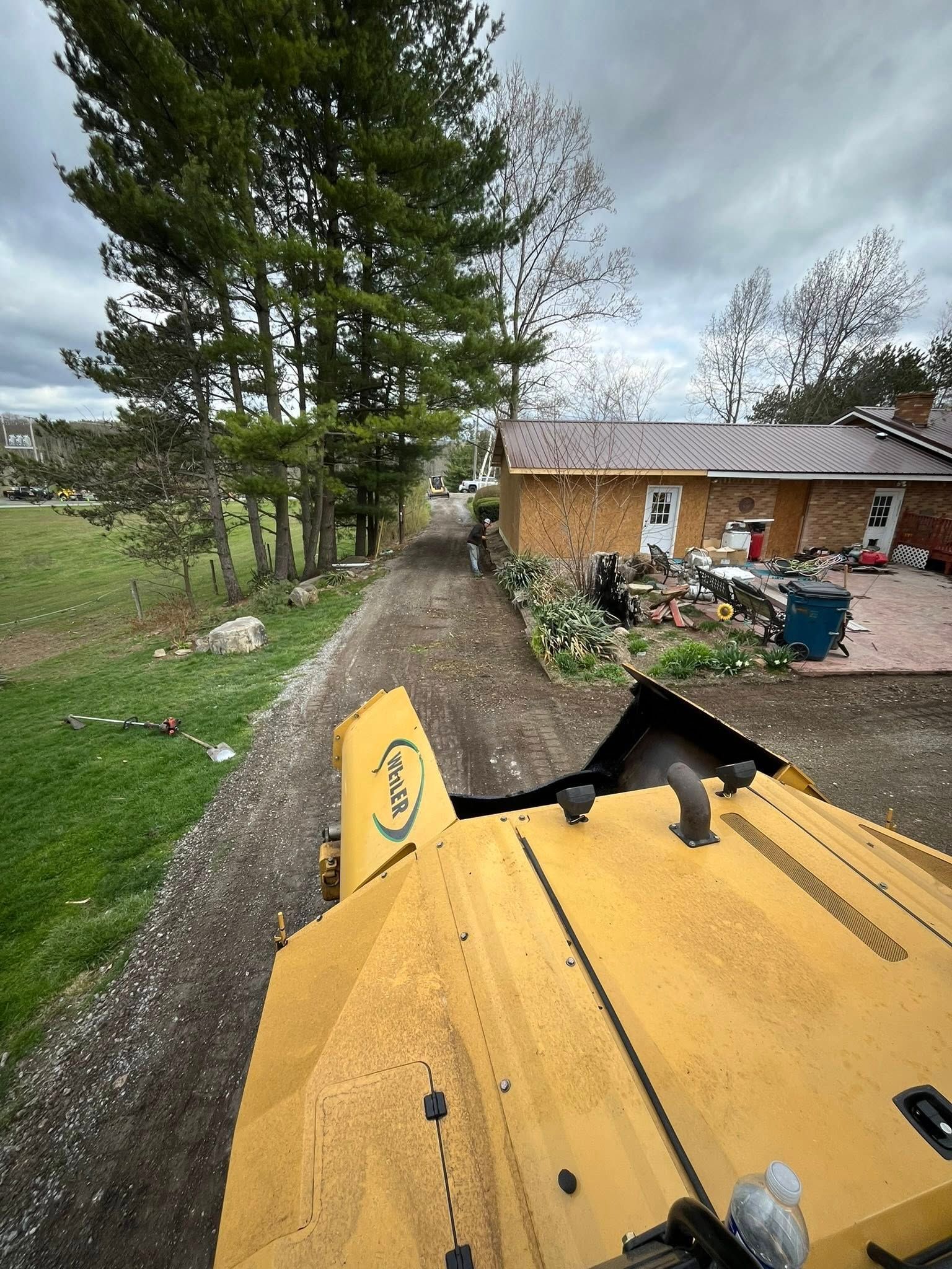 A yellow bulldozer operates on a dirt path next to a residential house and a line of tall evergreen trees.