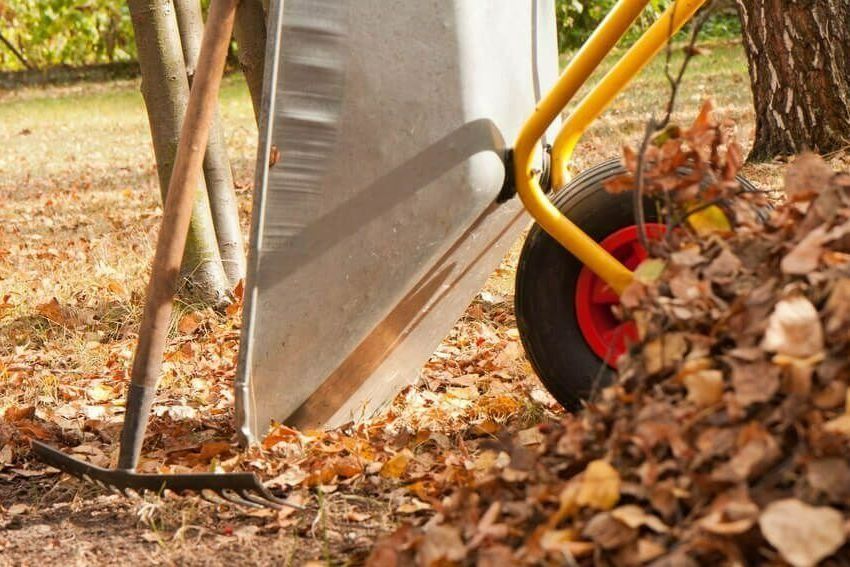 Wheelbarrow, rake, and leaves in autumn setting.
