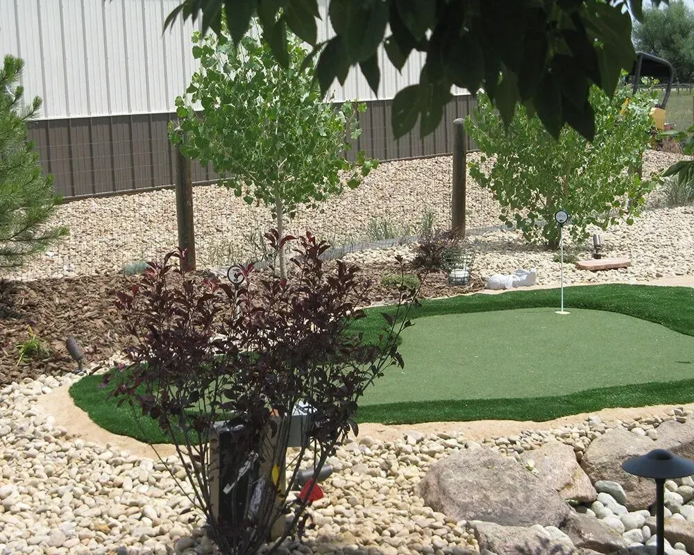 Backyard putting green surrounded by rocks and landscaping, with trees in the background.