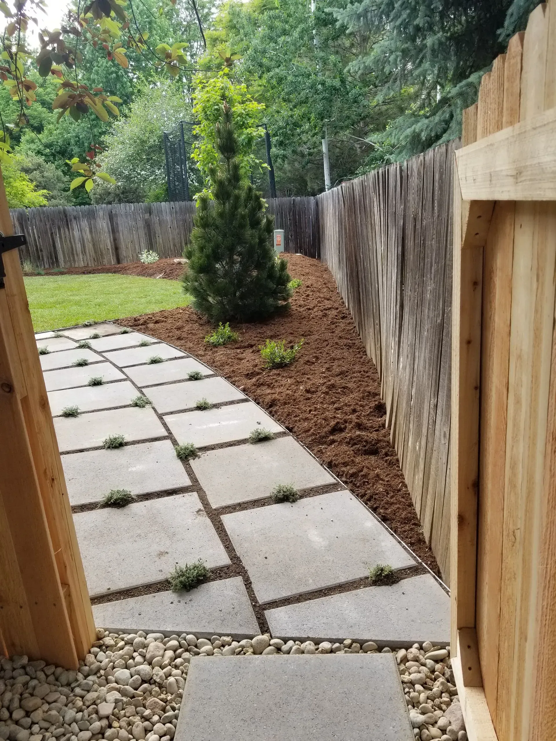 Pathway of concrete squares with gravel leading to wooden fence and gate. Green lawn and tree.