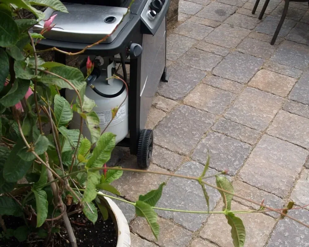 Grill with propane tank next to a plant on a stone patio.