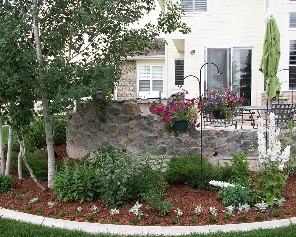 Backyard with stone retaining wall, patio, plants, and birch trees.