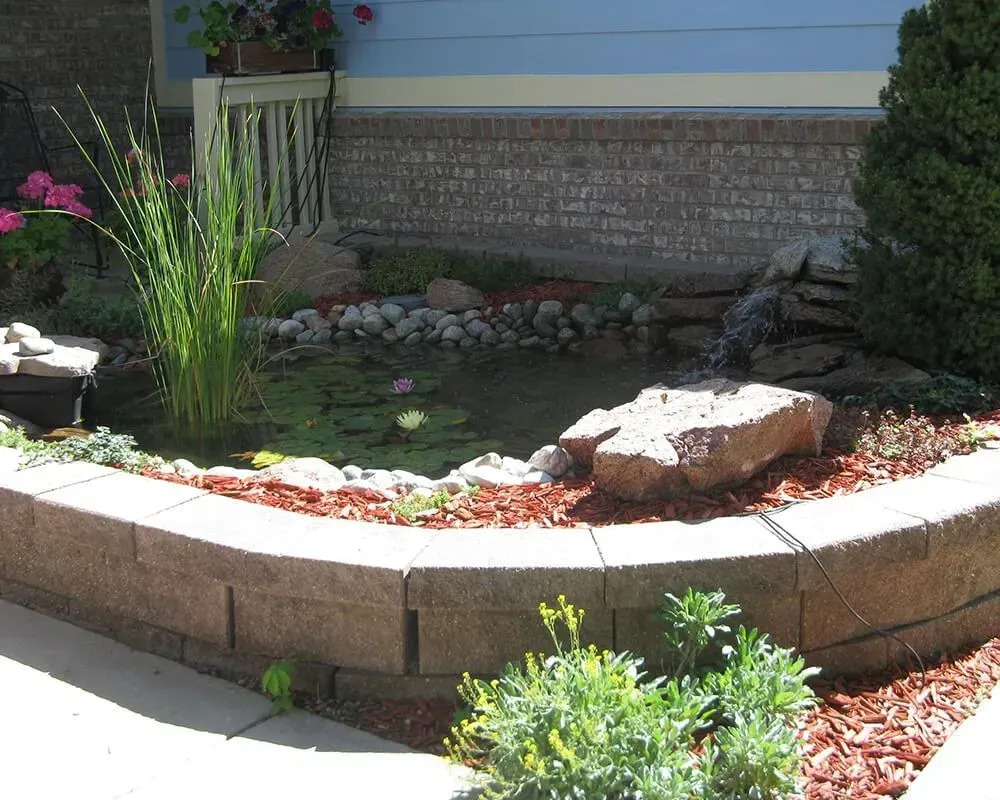 Pond with waterfall in a landscaped garden bed. Tall green reeds, pink water lilies, and rocks.