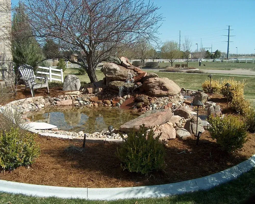 Landscaped pond with waterfall, surrounded by rocks, shrubs, and mulch; tree in the background.