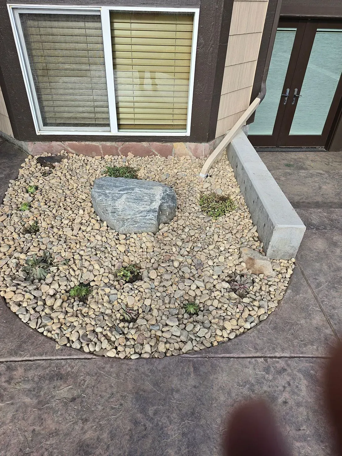 Rock garden with beige gravel, a large gray rock, and small green plants; next to a house with a window and brown door.
