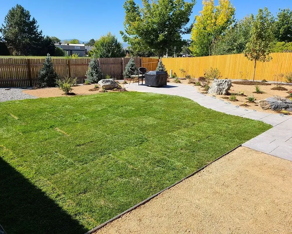 Lush green lawn in a backyard with gravel paths, decorative rocks, and wooden fences under a sunny sky.