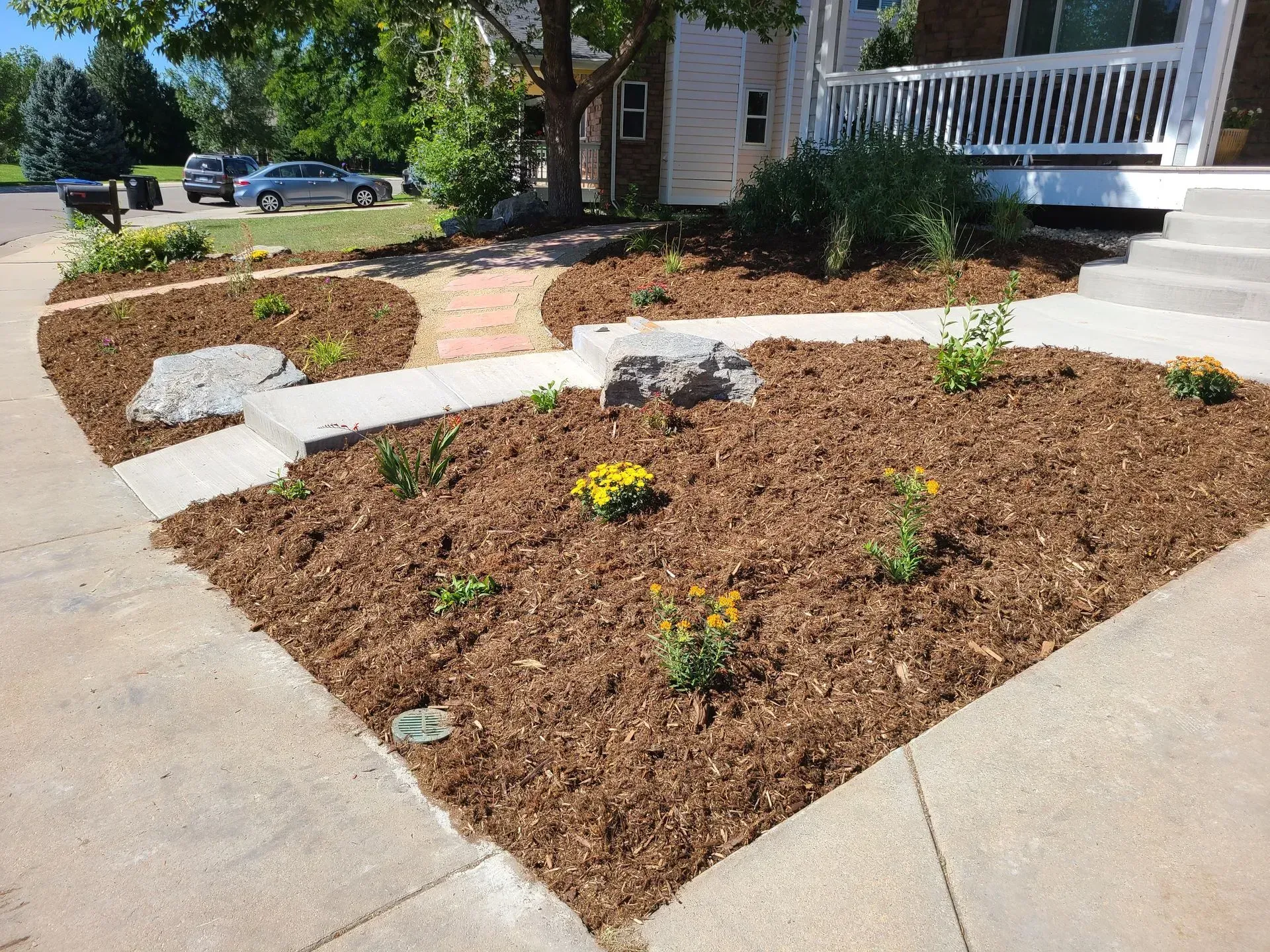 A landscaped front yard with mulch and flowering plants bordering a sidewalk and house.