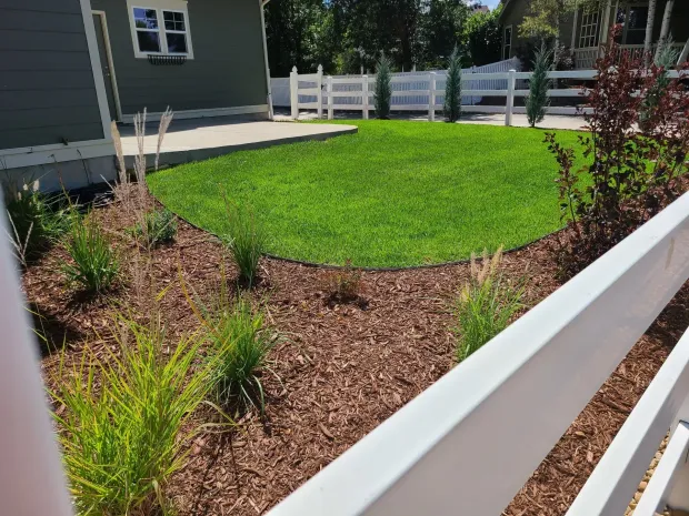 Green lawn surrounded by a white fence, mulch, and greenery; a gray house with a small window is in the background.