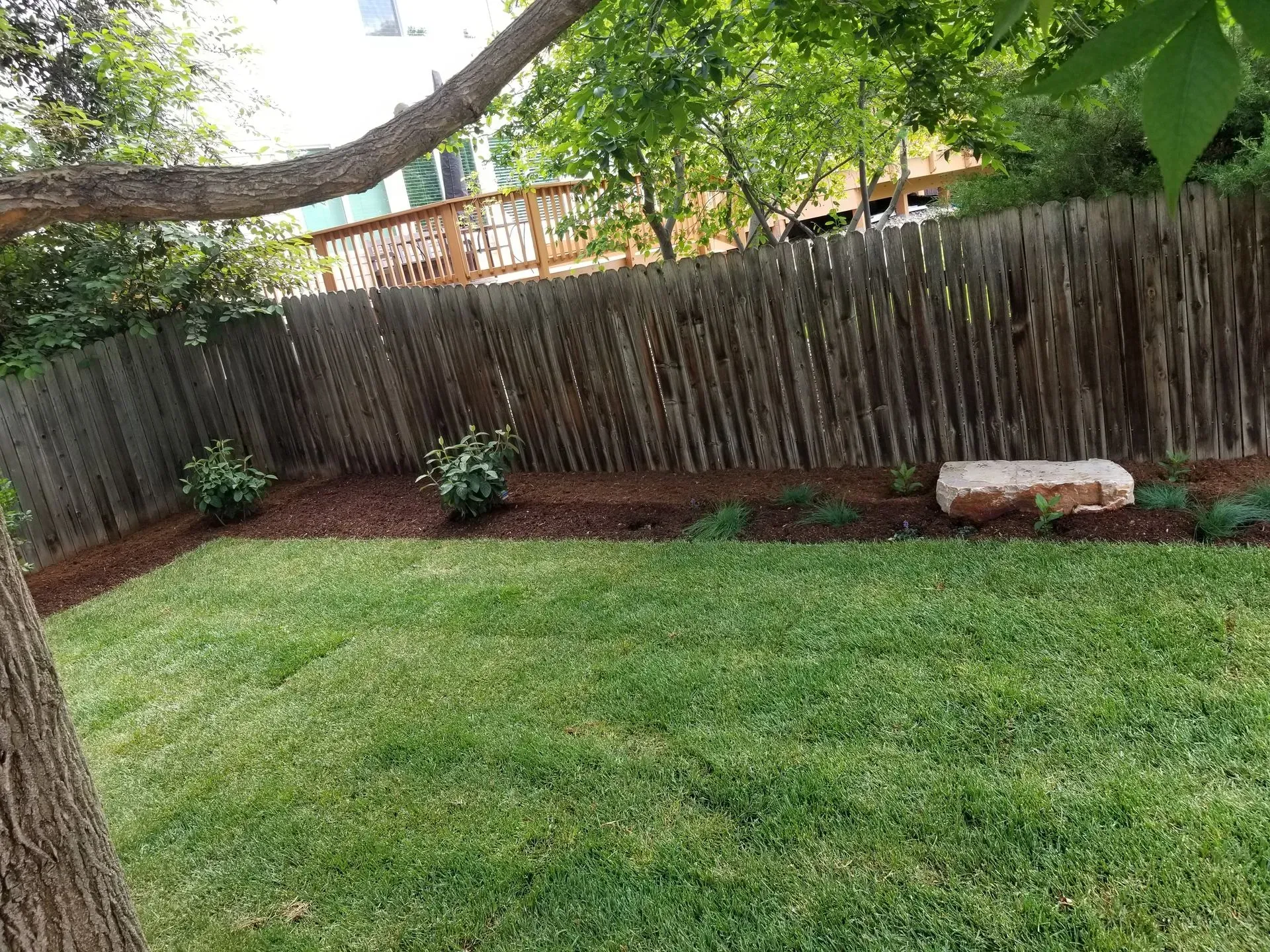 Backyard with green grass, flower beds, wooden fence, and a large tree.