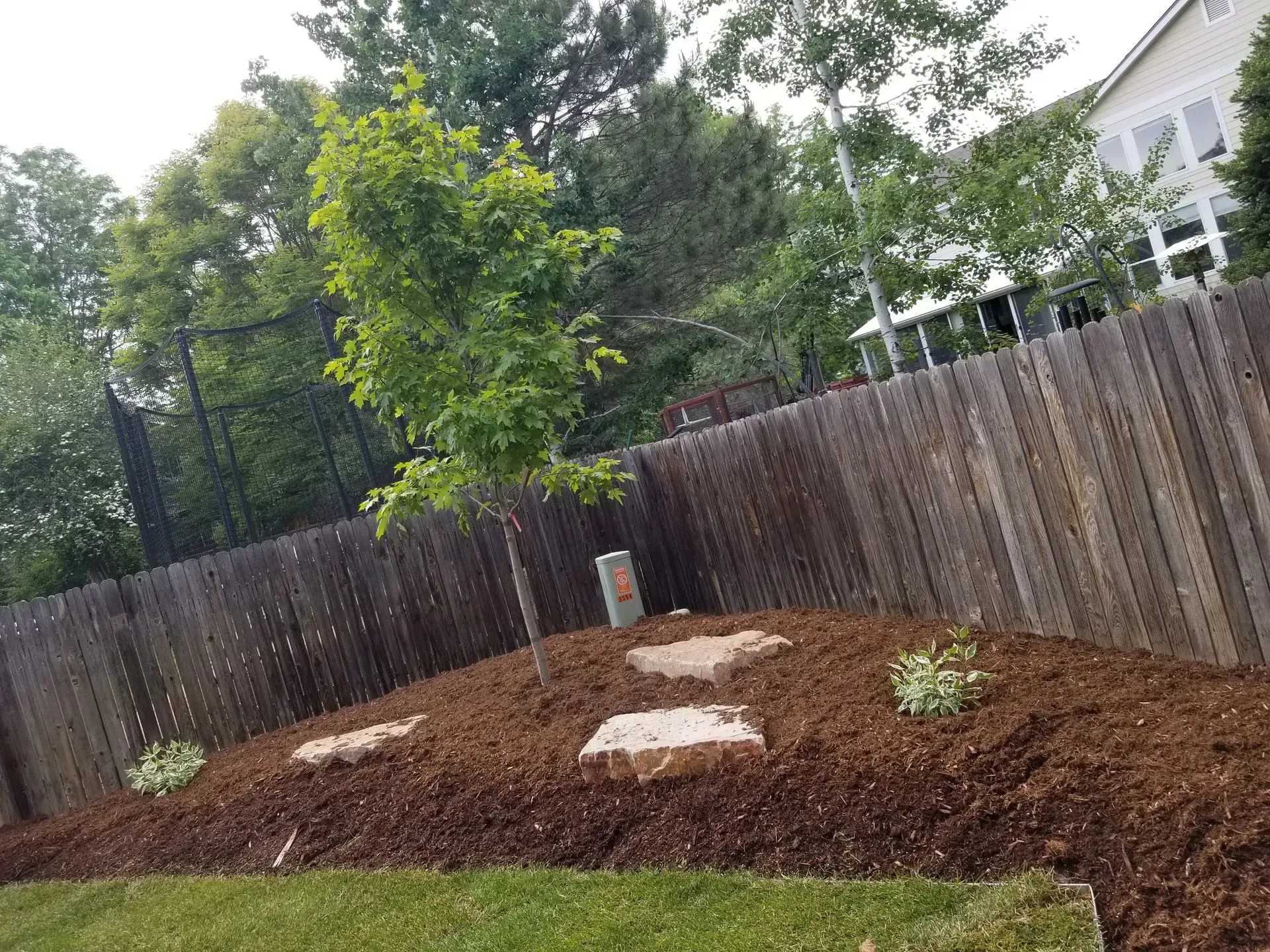 A backyard landscaping bed with a brown mulch, stepping stones, and a small tree, bordered by a wooden fence.