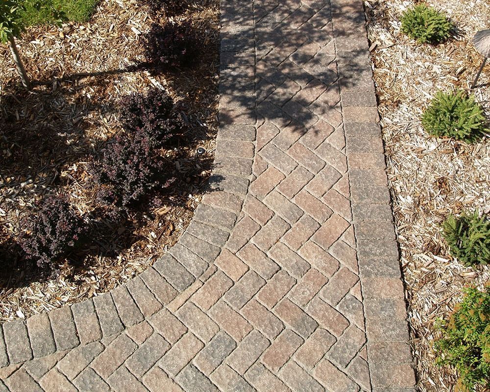Brick pathway winding through a garden bed with shrubs and mulch.