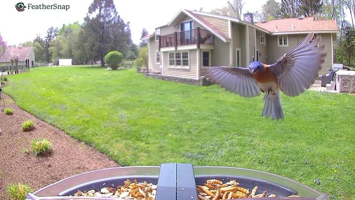A glowing candle in a white milk jug with a black handle, surrounded by apples and cider.
